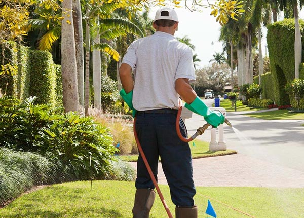 About Norfolk CT Pest Control